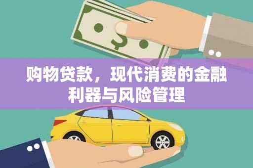 岭东购物贷款，现代消费的金融利器与风险管理
