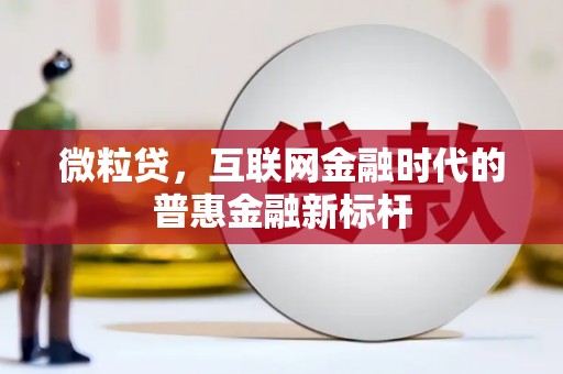 岭东微粒贷，互联网金融时代的普惠金融新标杆