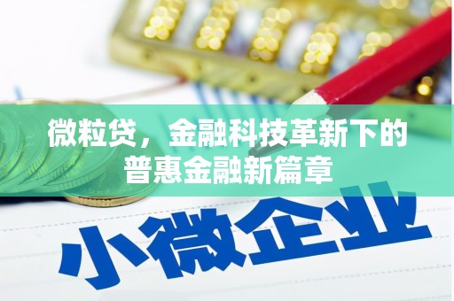 岭东微粒贷，金融科技革新下的普惠金融新篇章