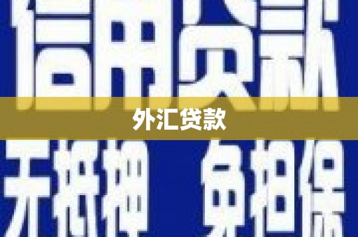 岭东外汇贷款