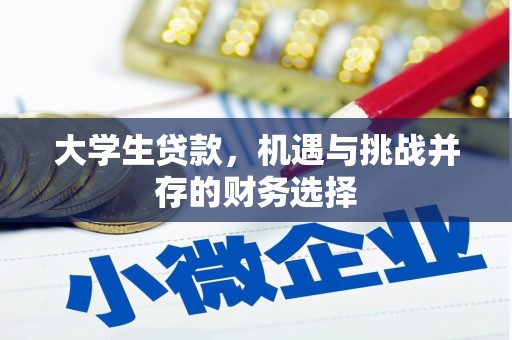 岭东大学生贷款，机遇与挑战并存的财务选择