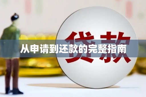 岭东从申请到还款的完整指南