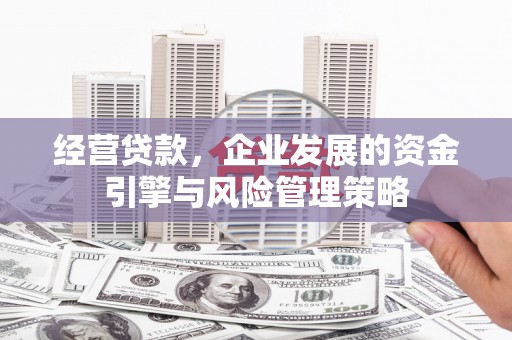 岭东经营贷款，企业发展的资金引擎与风险管理策略