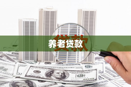 岭东养老贷款