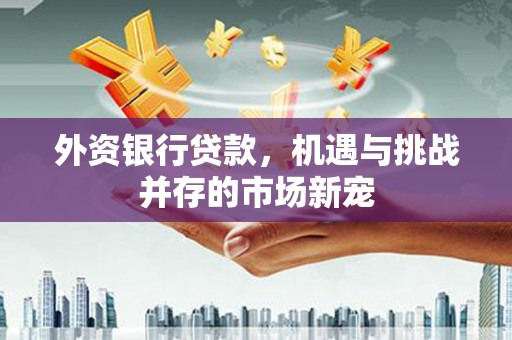 岭东外资银行贷款，机遇与挑战并存的市场新宠