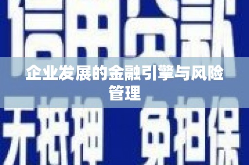 岭东企业发展的金融引擎与风险管理