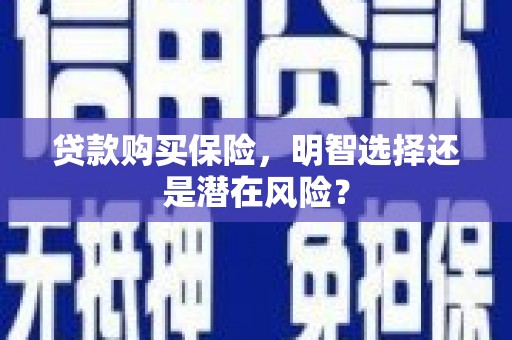 岭东贷款购买保险，明智选择还是潜在风险？