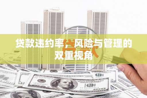 岭东贷款违约率，风险与管理的双重视角