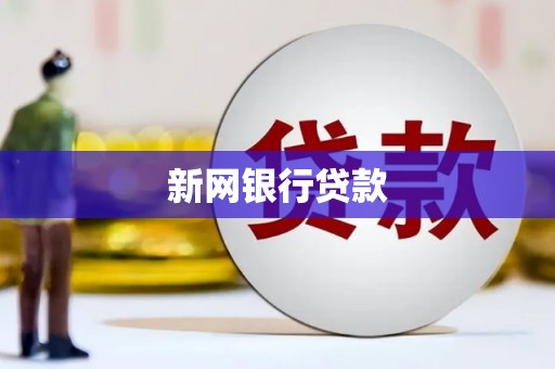 岭东新网银行贷款