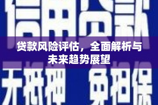 岭东贷款风险评估，全面解析与未来趋势展望