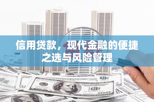 岭东信用贷款，现代金融的便捷之选与风险管理