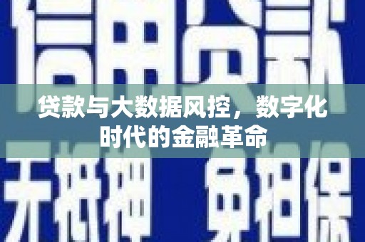 岭东贷款与大数据风控，数字化时代的金融革命
