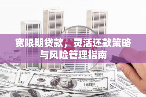 岭东宽限期贷款，灵活还款策略与风险管理指南