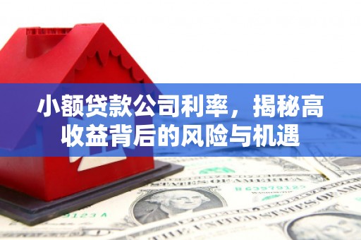 岭东小额贷款公司利率，揭秘高收益背后的风险与机遇