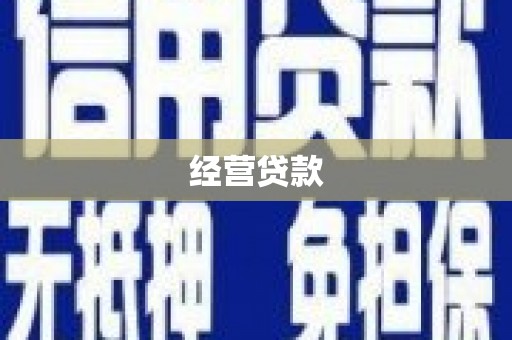 岭东经营贷款