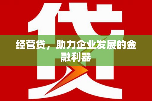 岭东经营贷，助力企业发展的金融利器