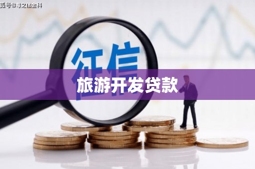 岭东旅游开发贷款