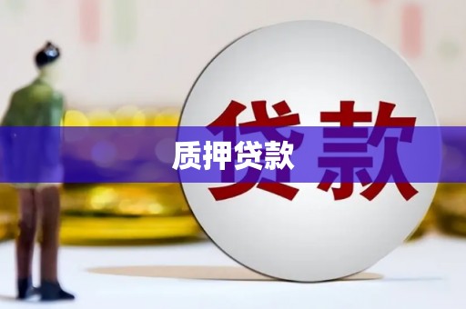 岭东质押贷款