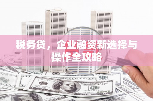 岭东税务贷，企业融资新选择与操作全攻略