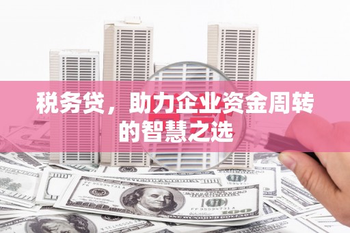 岭东税务贷，助力企业资金周转的智慧之选