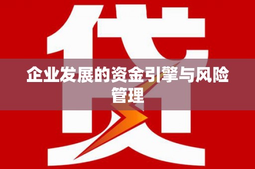 岭东企业发展的资金引擎与风险管理