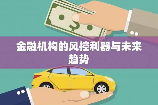岭东金融机构的风控利器与未来趋势