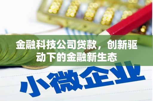 岭东金融科技公司贷款，创新驱动下的金融新生态