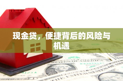 岭东现金贷，便捷背后的风险与机遇
