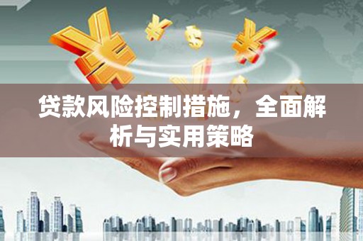 岭东贷款风险控制措施，全面解析与实用策略