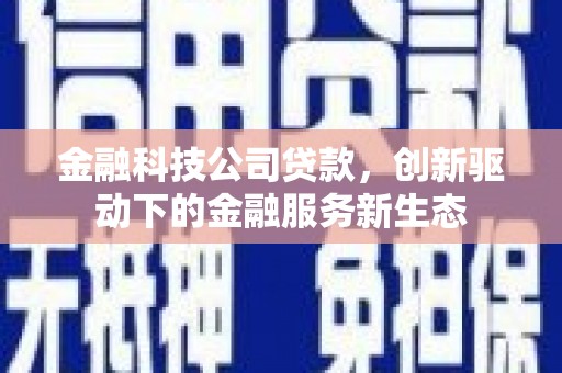 岭东金融科技公司贷款，创新驱动下的金融服务新生态