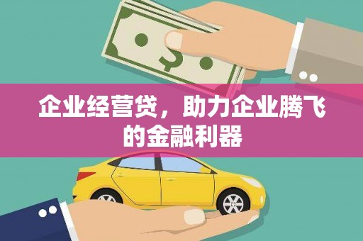 岭东企业经营贷，助力企业腾飞的金融利器