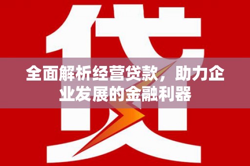 岭东全面解析经营贷款，助力企业发展的金融利器