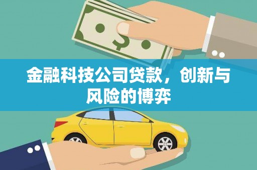 岭东金融科技公司贷款，创新与风险的博弈