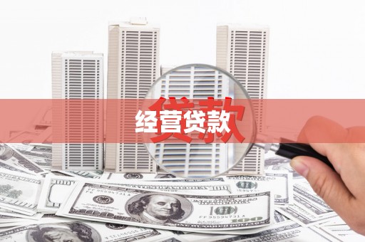 岭东经营贷款