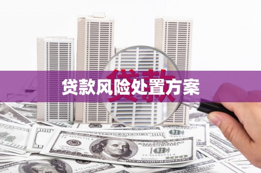 岭东贷款风险处置方案