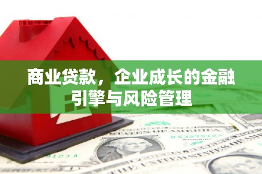 岭东商业贷款，企业成长的金融引擎与风险管理