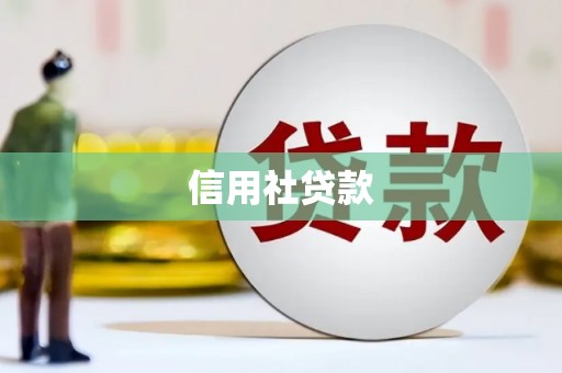 岭东信用社贷款