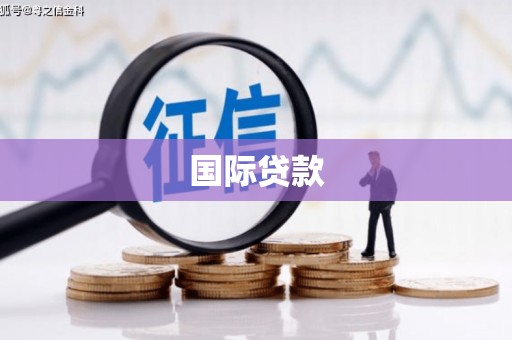 岭东国际贷款