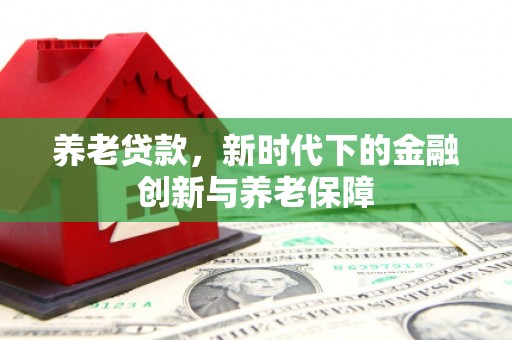 岭东养老贷款，新时代下的金融创新与养老保障