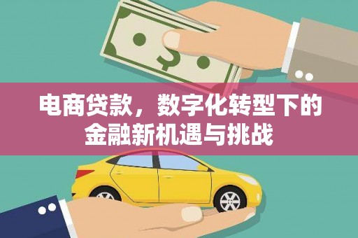 岭东电商贷款，数字化转型下的金融新机遇与挑战