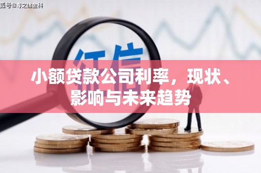 岭东小额贷款公司利率，现状、影响与未来趋势