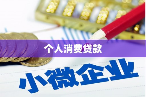 岭东个人消费贷款