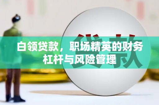 岭东白领贷款，职场精英的财务杠杆与风险管理