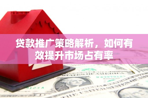 岭东贷款推广策略解析，如何有效提升市场占有率