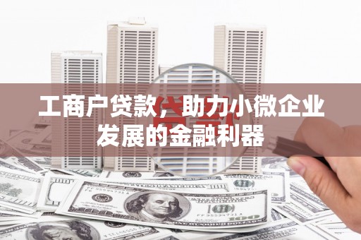 岭东工商户贷款，助力小微企业发展的金融利器