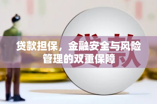 岭东贷款担保，金融安全与风险管理的双重保障