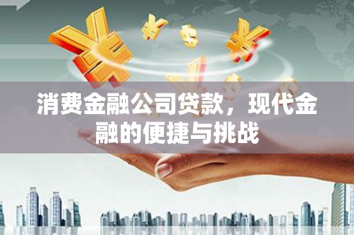 岭东消费金融公司贷款，现代金融的便捷与挑战