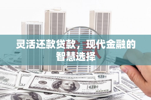 岭东灵活还款贷款，现代金融的智慧选择
