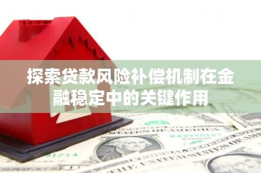 岭东探索贷款风险补偿机制在金融稳定中的关键作用