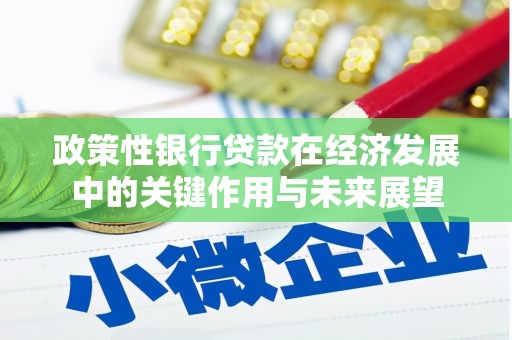 岭东政策性银行贷款在经济发展中的关键作用与未来展望